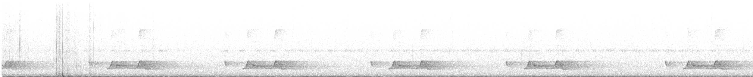 Chuck-will's-widow - ML241812131