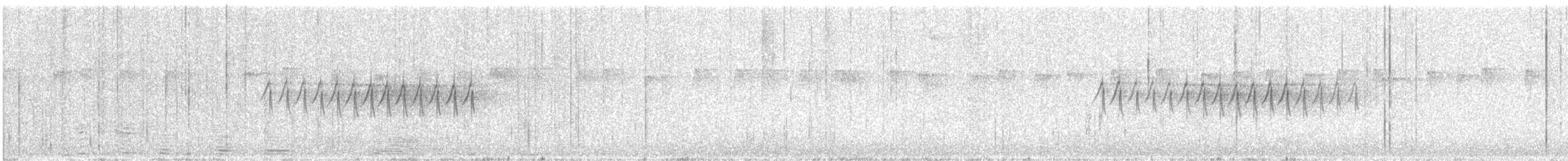 ユキヒメドリ（hyemalis／carolinensis） - ML241813181