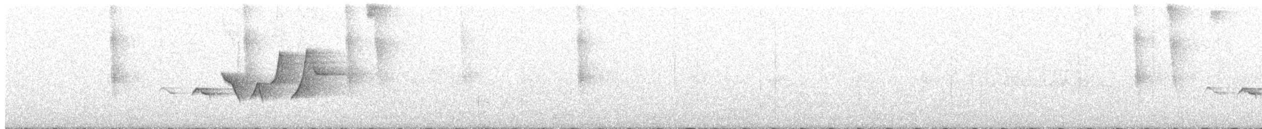 Hooded Warbler - ML241814261