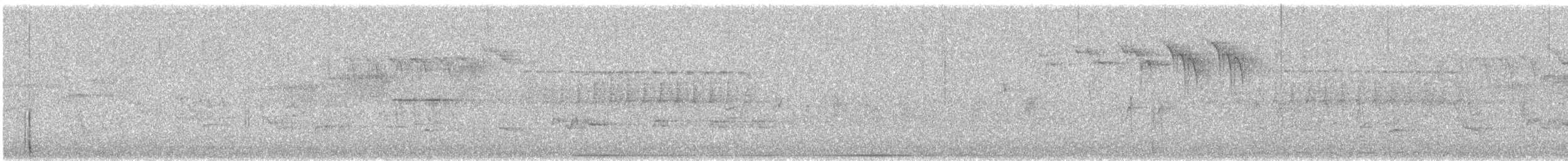 ナキイスカ - ML241815181