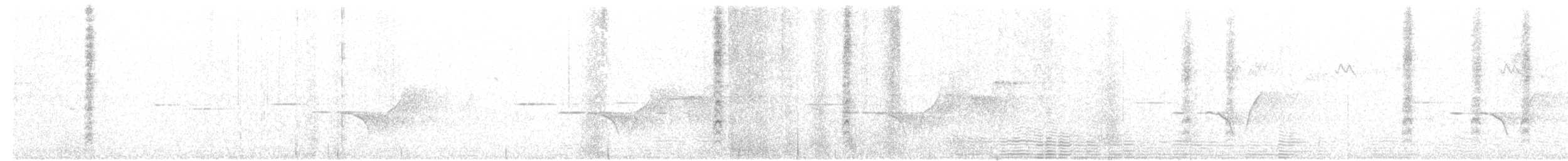 Pycnoptile compagnon - ML24182481