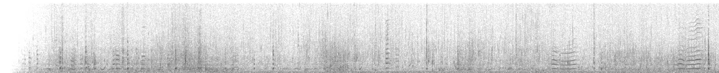 Американская лысуха (Red-shielded) - ML24184241