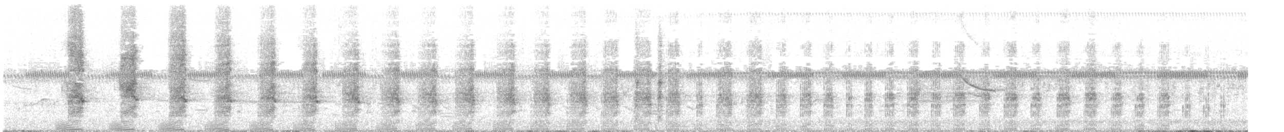 Пастушок віргінський - ML241853381