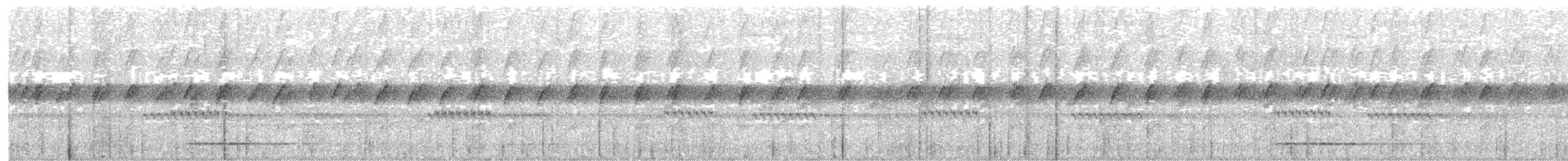 Gray Tinamou - ML241859021