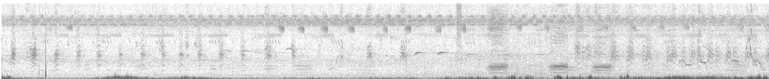 Ashy Woodswallow - ML241888261