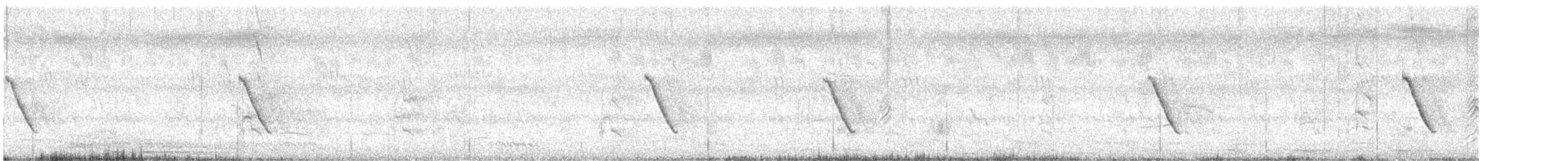 Common Tailorbird - ML241888291