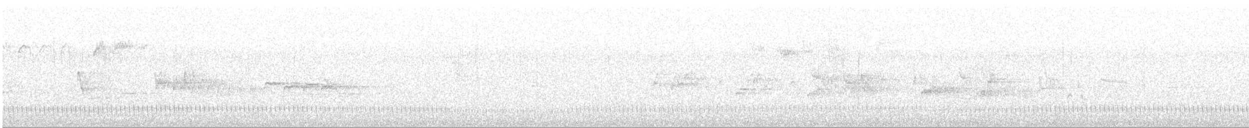 Zata arrunta - ML241894551