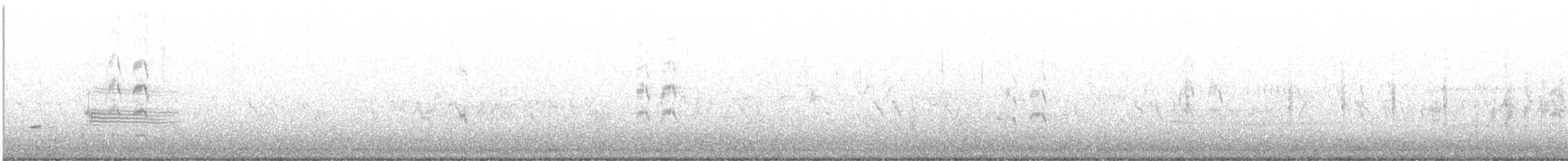 Forster's Tern - ML241897971