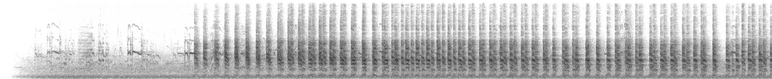 spartinarikse - ML24189941