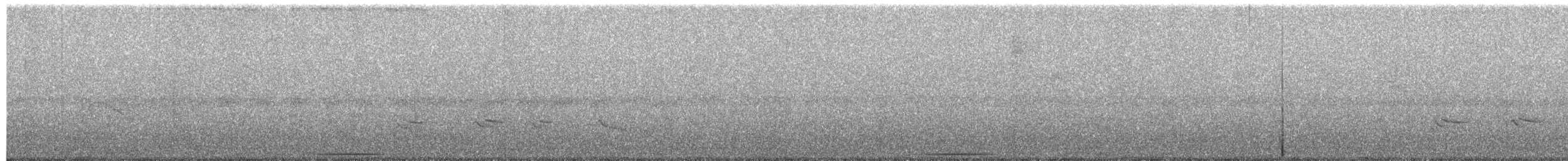 holub bledoprsý - ML241900761