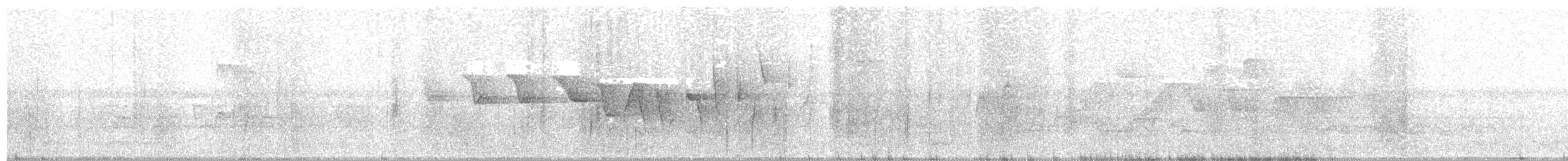 Трясогузковый певун - ML241903051