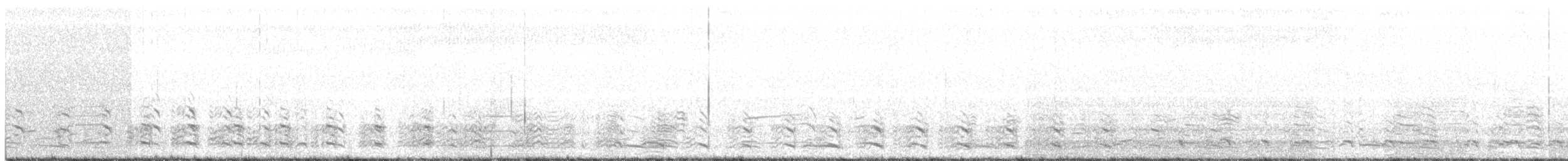 racek stříbřitý (ssp. mongolicus) - ML241913181