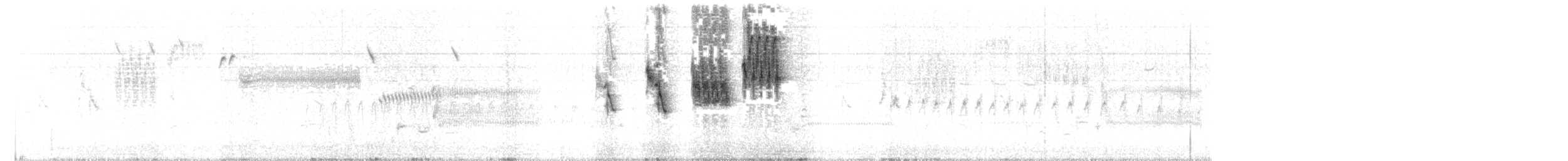 Rotschulterkardinal - ML241916081