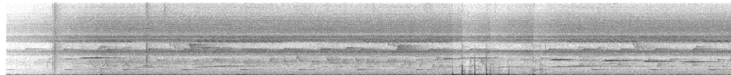 Матинера широкоброва - ML24192271