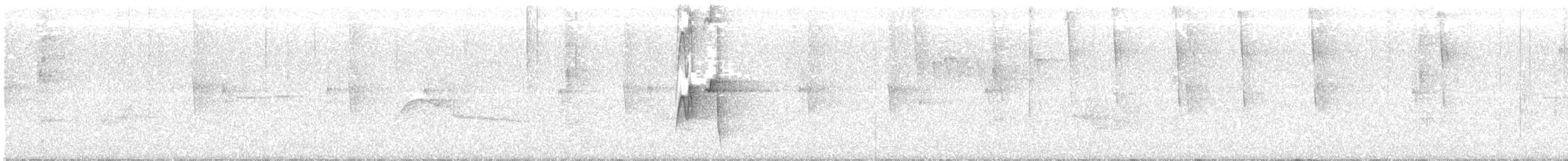 חטפית ירקרקה - ML241924131