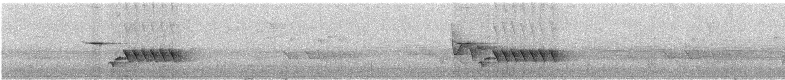 Белогрудый крапивник [группа prostheleuca] - ML241937871