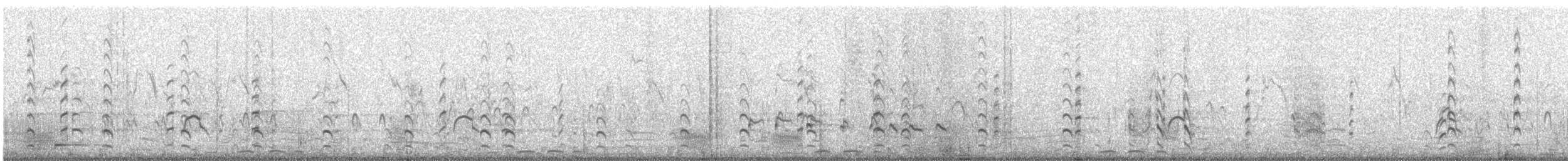 pisila čáponohá - ML241941621