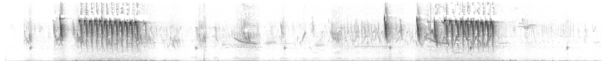 Sedge Wren - ML241943401