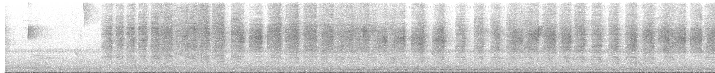 Поплітник каролінський - ML241944331