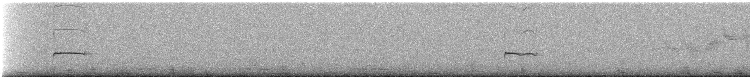 Southern Beardless-Tyrannulet (Southern) - ML241949321