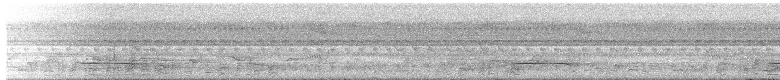 Желтогорлая кукушка - ML24195331