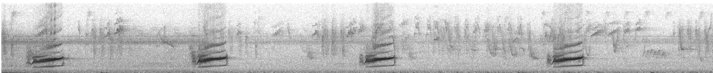Коричневогорлый лесовик [группа nigricauda] - ML241974