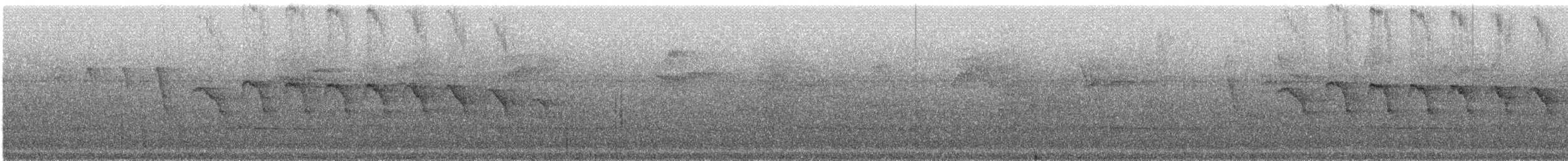 Каатинга плямистокрила [група boucardi] - ML241976