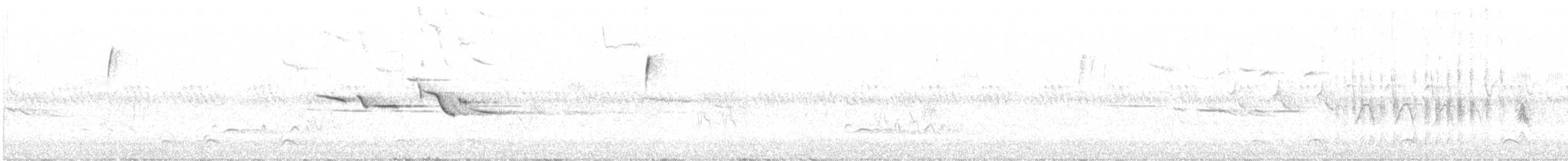 Eastern Meadowlark - ML241979891