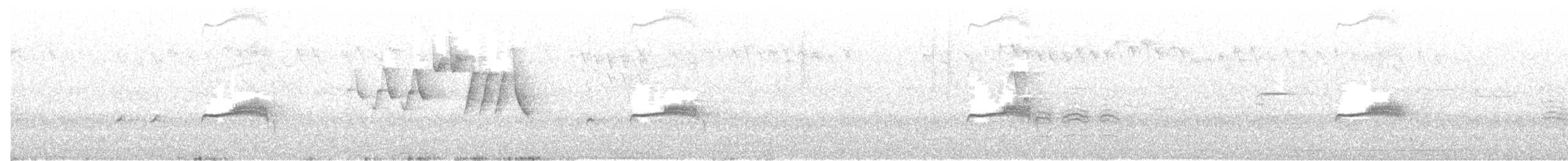 Western Wood-Pewee - ML241981651