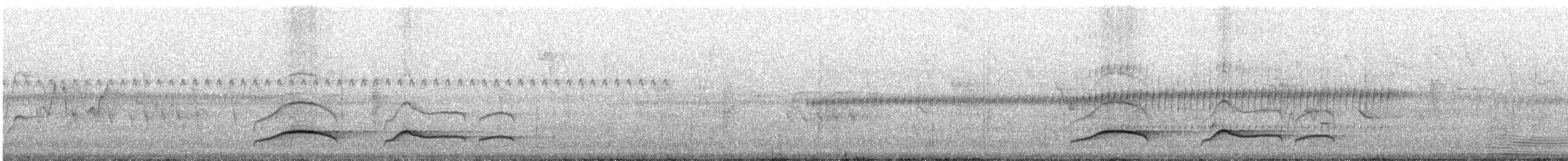 Ochraceous Attila - ML241984