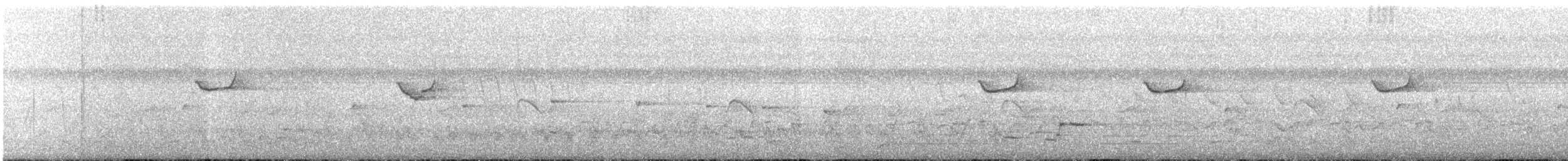 Gray-chinned Sunbird - ML24198721