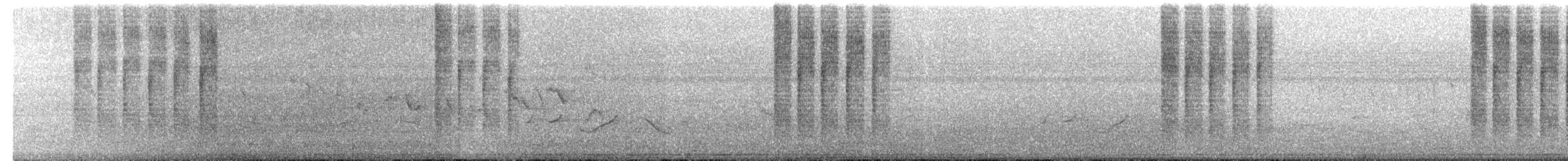 Chattering Cisticola - ML24198911