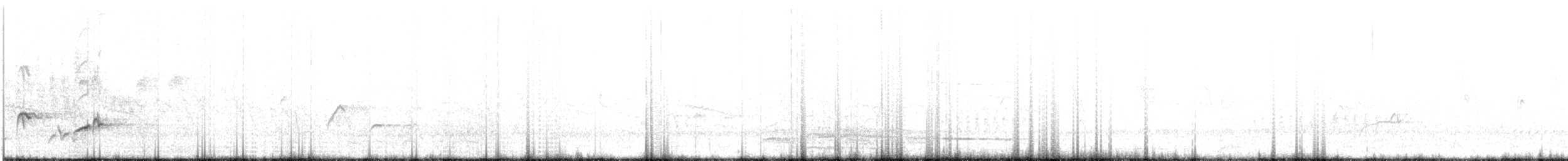 fjellskogstær (preussi) - ML24199171