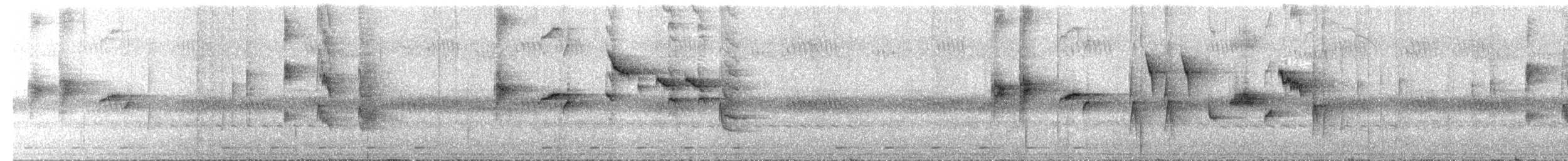 シロハラカンムリヒタキ（albiventris） - ML24199971