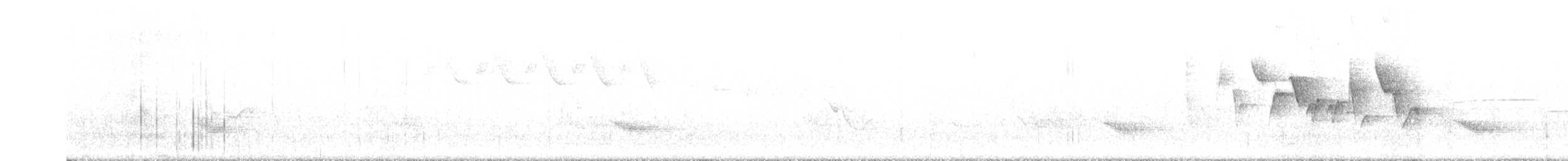 Canada Warbler - ML242001621