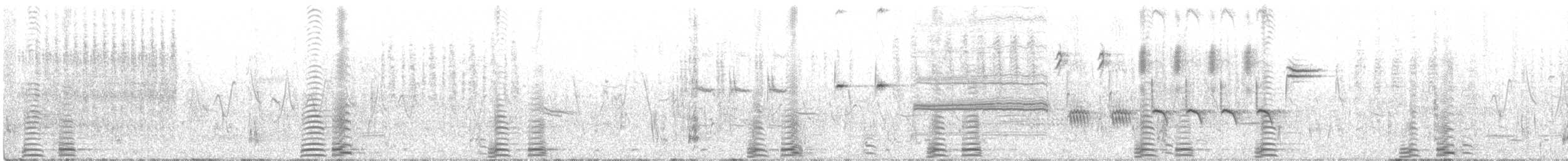 Cisne Trompetero - ML242003791