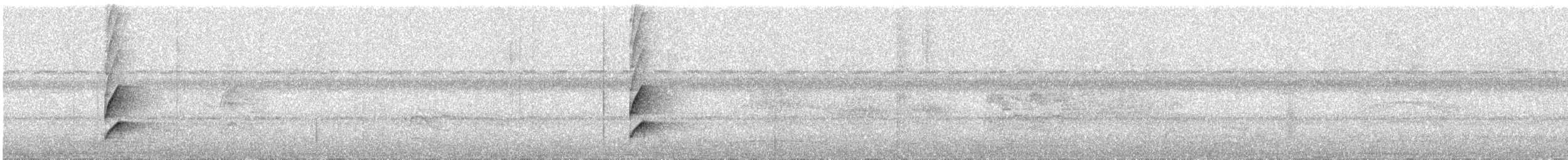 Stripe-necked Tody-Tyrant - ML242005451