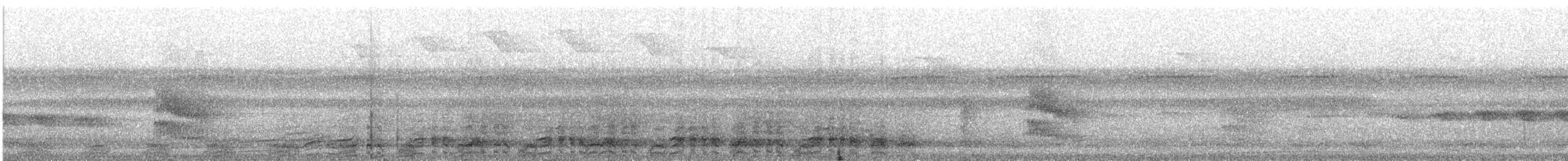 Speckled Chachalaca (Speckled) - ML242009