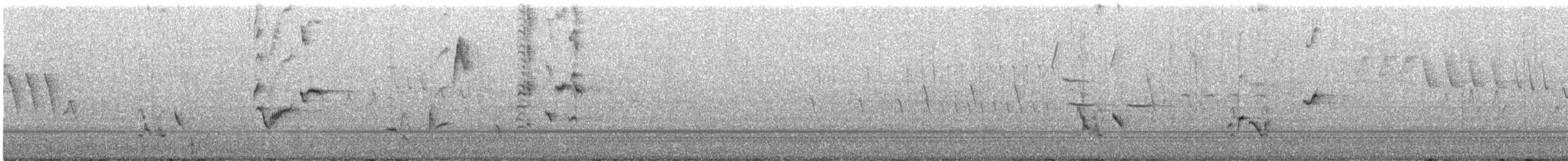 Gray Catbird - ML242009341