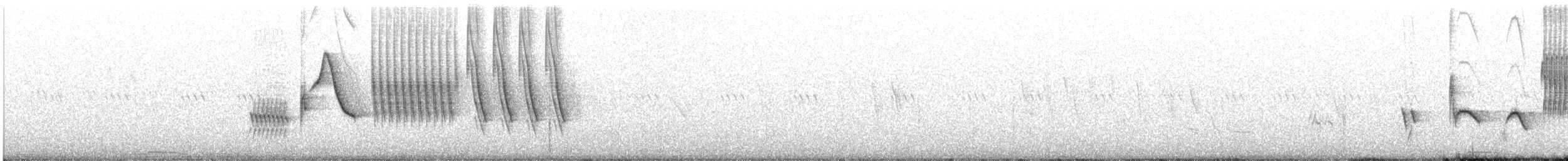 Green-tailed Towhee - ML242009611