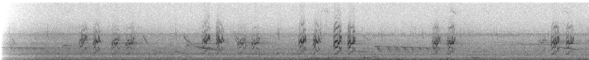 Spot-winged Parrotlet - ML242019