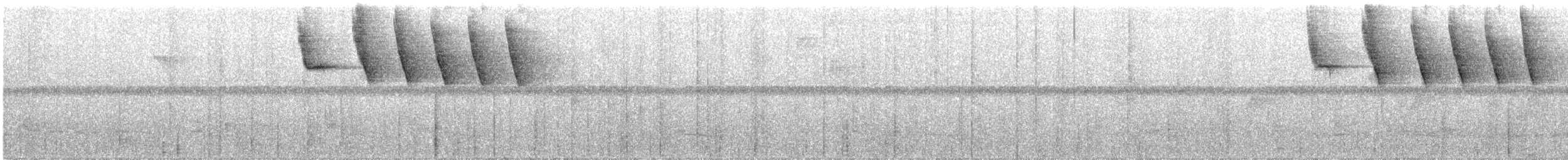 Тихоголос жовтодзьобий (підвид polionotus) - ML242021041