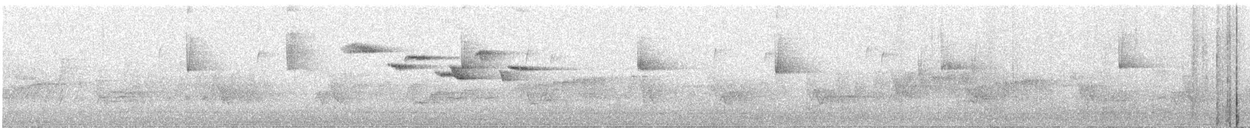 Grimpereau brun - ML242023581