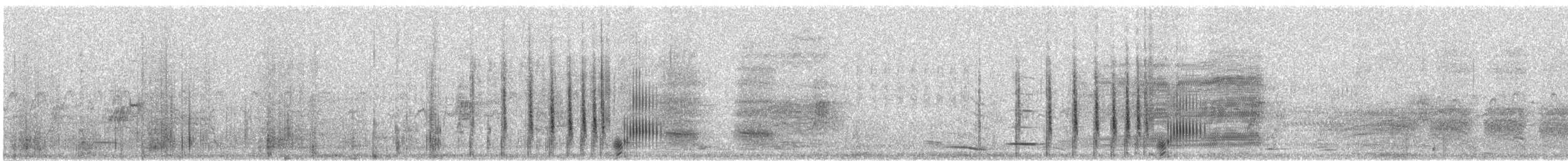 Ruddy Duck - ML242023711