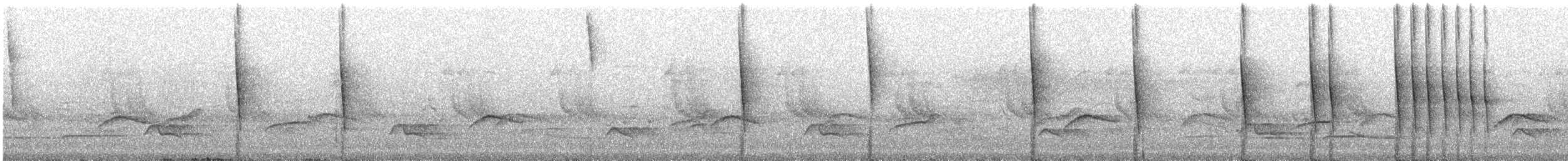 Chlorospin des buissons (groupe flavopectus) - ML242033