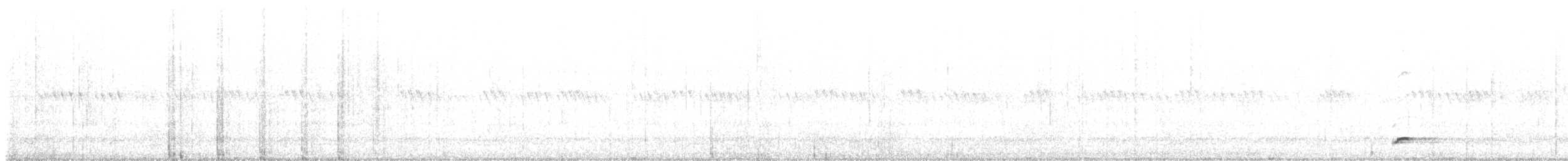 Schwarzkehl-Nachtschwalbe - ML242039281