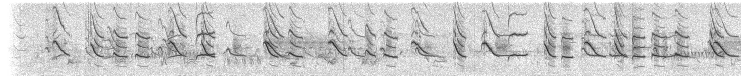 gråstillits - ML242041141