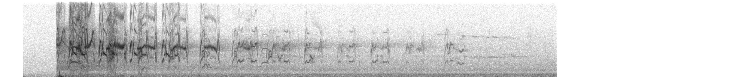 Halsbandsegler - ML242045