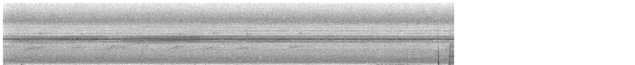 Bulbul sp. (Microtarsus/Rubigula/Pycnonotus sp.) - ML24206381