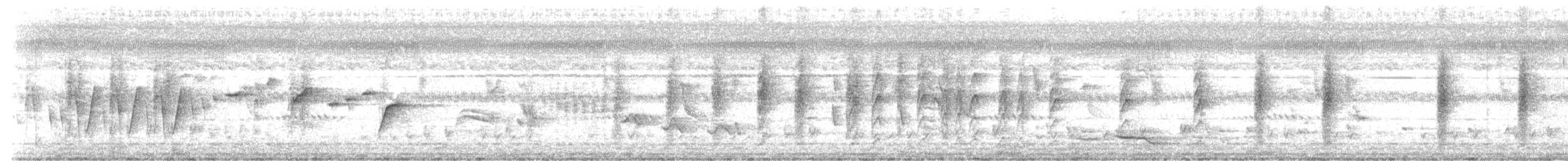 Malaysian Pied-Fantail - ML242067481